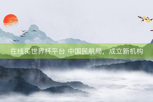 在线买世界杯平台 中国民航局，成立新机构