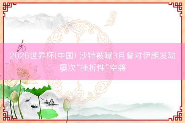 2026世界杯(中国) 沙特被曝3月曾对伊朗发动屡次“挫折性”空袭