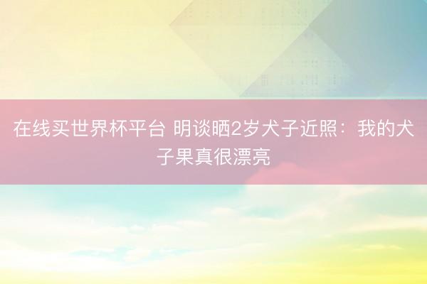 在线买世界杯平台 明谈晒2岁犬子近照：我的犬子果真很漂亮