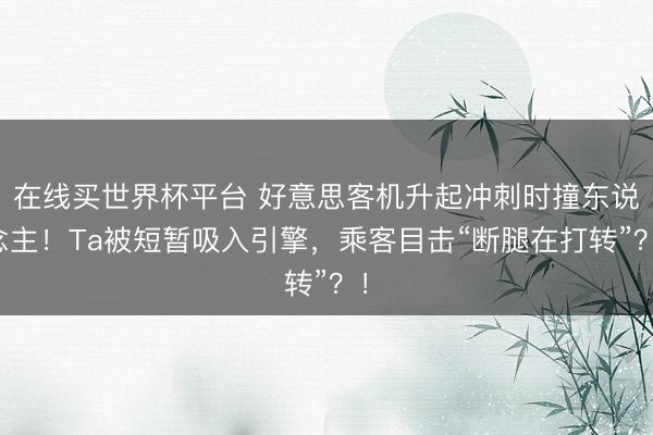 在线买世界杯平台 好意思客机升起冲刺时撞东说念主!Ta被短暂吸入引擎,乘客目击“断腿在打转”?!