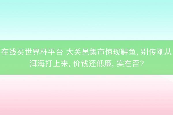 在线买世界杯平台 大关邑集市惊现鲟鱼， 别传刚从洱海打上来， 价钱还低廉， 实在否?