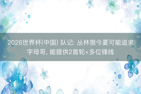 2026世界杯(中国) 队记: 丛林狼今夏可能追求字母哥， 能提供2首轮+多位锋线