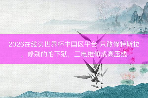 2026在线买世界杯中国区平台 只敢修特斯拉,修别的怕下狱,三电维修成高压线