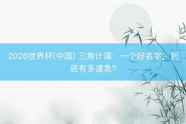 2026世界杯(中国) 三角计谋：一个好名字，到底有多遑急？
