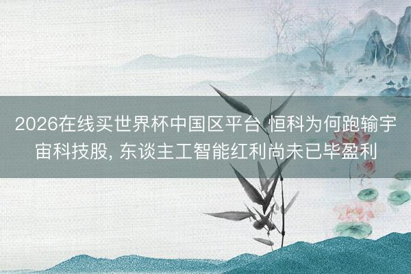 2026在线买世界杯中国区平台 恒科为何跑输宇宙科技股, 东谈主工智能红利尚未已毕盈利