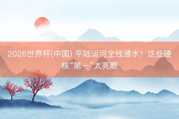 2026世界杯(中国) 平陆运河全线通水！这些硬核“第一”太亮眼