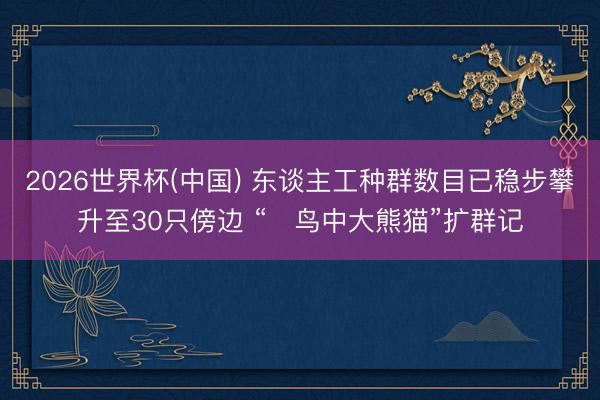 2026世界杯(中国) 东谈主工种群数目已稳步攀升至30只傍边 “​鸟中大熊猫”扩群记