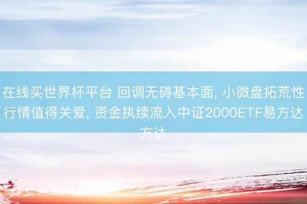 在线买世界杯平台 回调无碍基本面， 小微盘拓荒性行情值得关爱， 资金执续流入中证2000ETF易方达