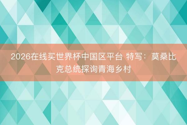 2026在线买世界杯中国区平台 特写：莫桑比克总统探询青海乡村
