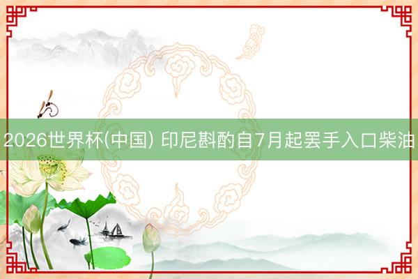 2026世界杯(中国) 印尼斟酌自7月起罢手入口柴油