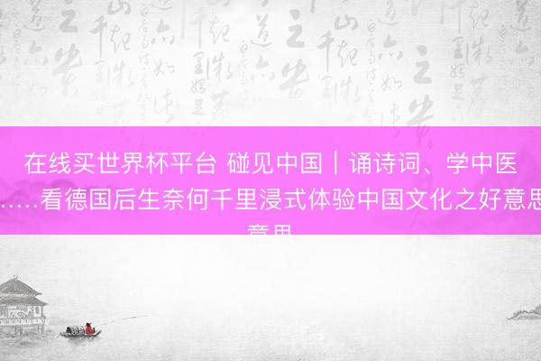 在线买世界杯平台 碰见中国｜诵诗词、学中医……看德国后生奈何千里浸式体验中国文化之好意思