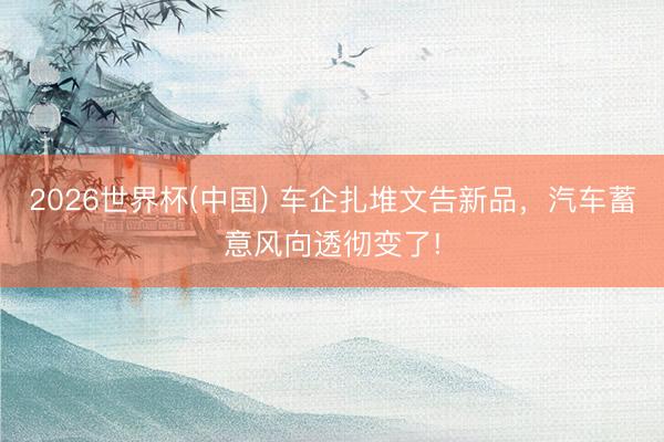 2026世界杯(中国) 车企扎堆文告新品，汽车蓄意风向透彻变了!