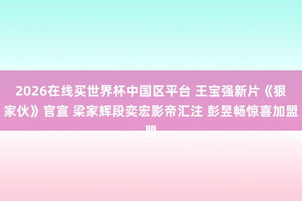 2026在线买世界杯中国区平台 王宝强新片《狠家伙》官宣 梁家辉段奕宏影帝汇注 彭昱畅惊喜加盟